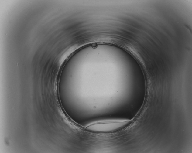 X0000103240944200809041044