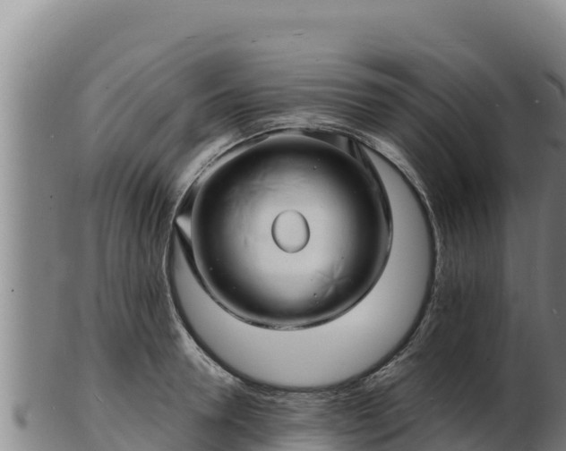 X0000103240946200809041044