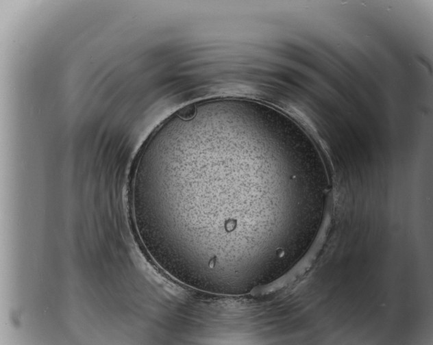 X0000103240947200809041044