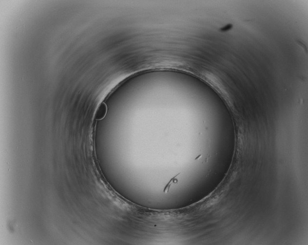 X0000103240948200809041044