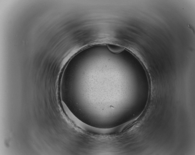 X0000103240949200809041044