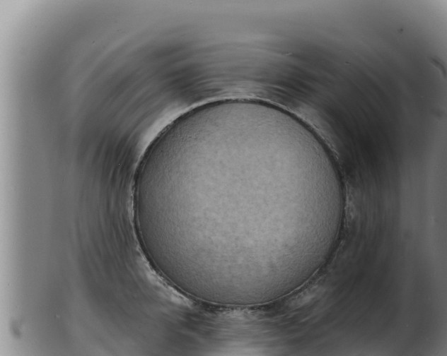 X0000103240950200809041044