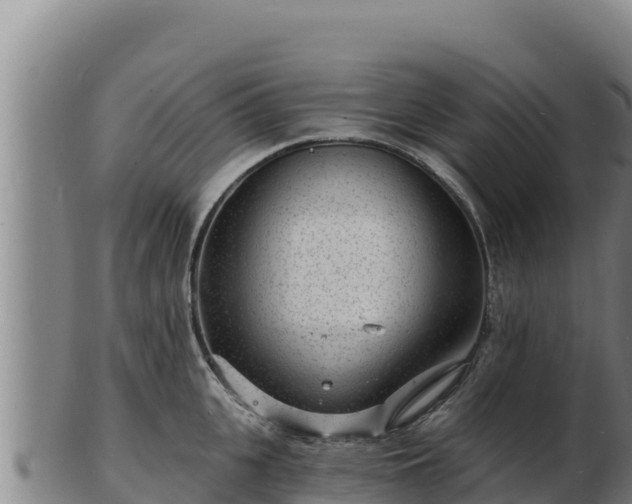 X0000103240951200809041044