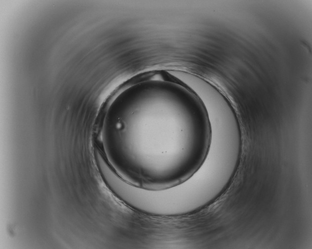 X0000103240952200809041044