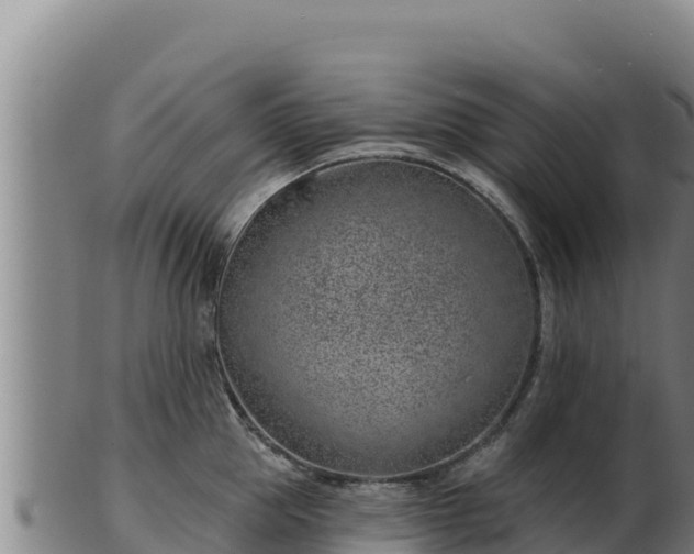 X0000103240953200809041044