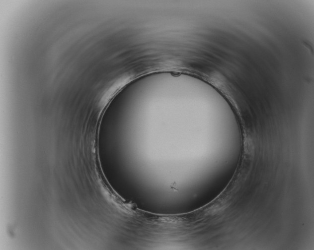 X0000103240954200809041044