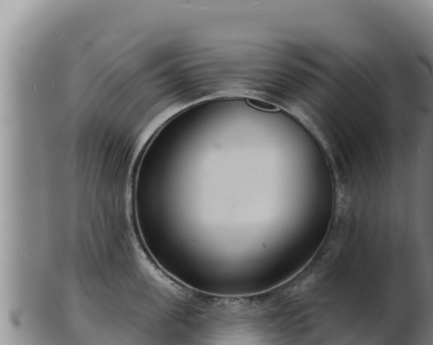 X0000103240955200809041044