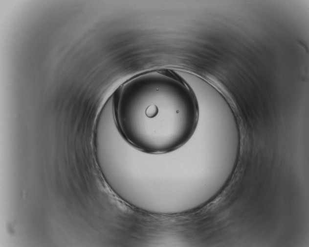 X0000103240956200809041044