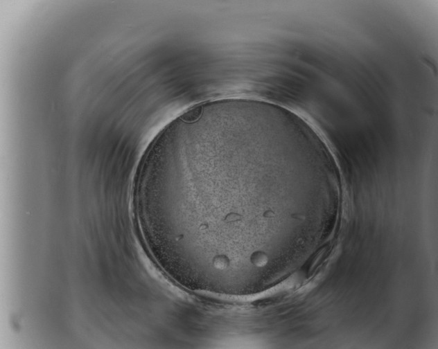 X0000103240957200809041044