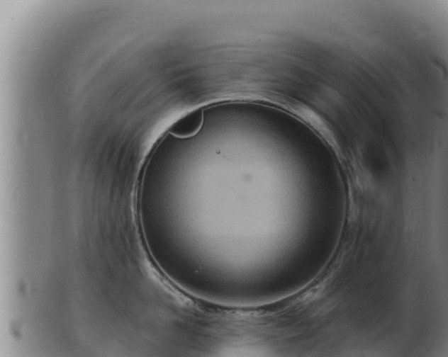 X0000103240958200809041044