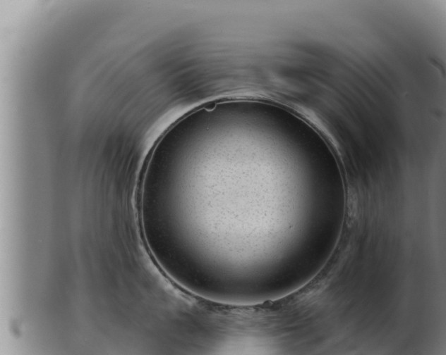 X0000103240959200809041044