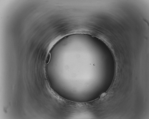 X0000103240960200809041044