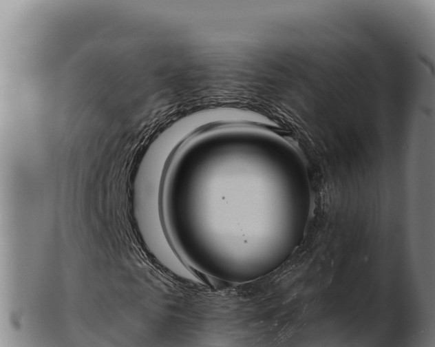 X0000103240961200809041043