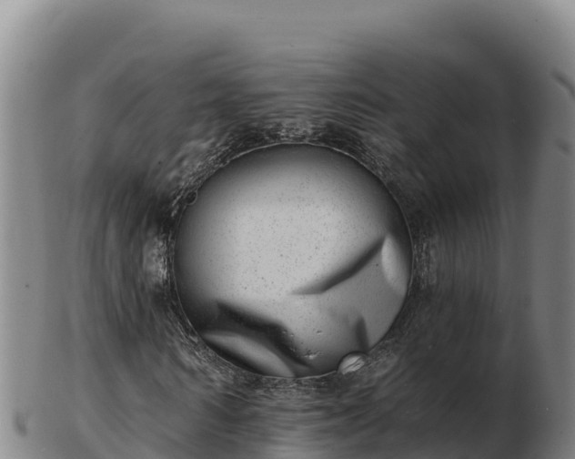 X0000103240962200809041043