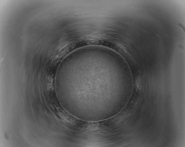 X0000103240964200809041043