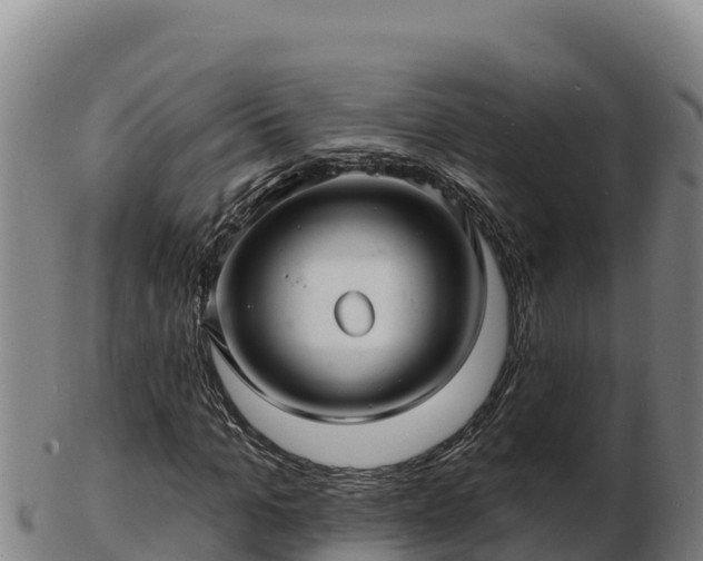 X0000103240965200809041043