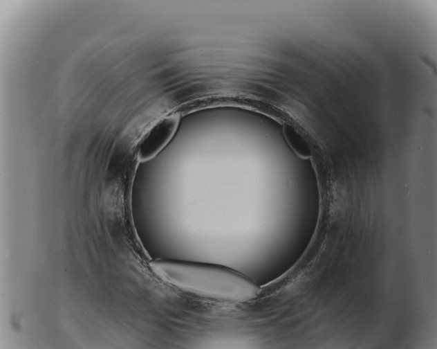 X0000103240969200809041043