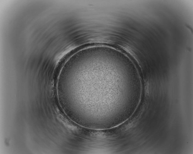 X0000103240971200809041043