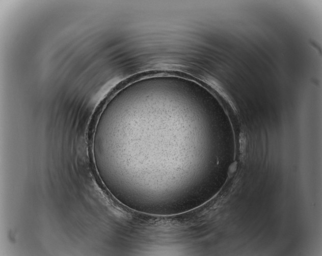 X0000103240972200809041043