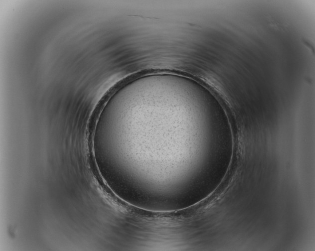 X0000103240976200809041043