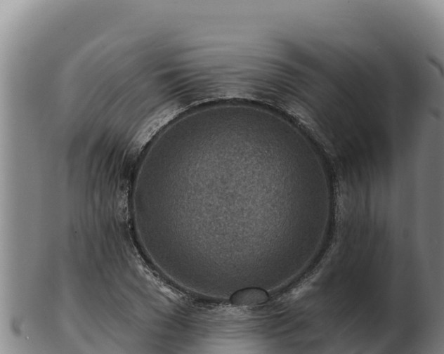 X0000103240977200809041043