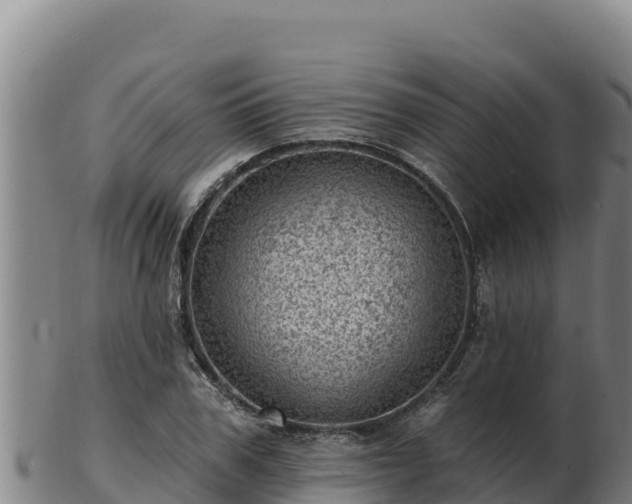 X0000103240979200809041043