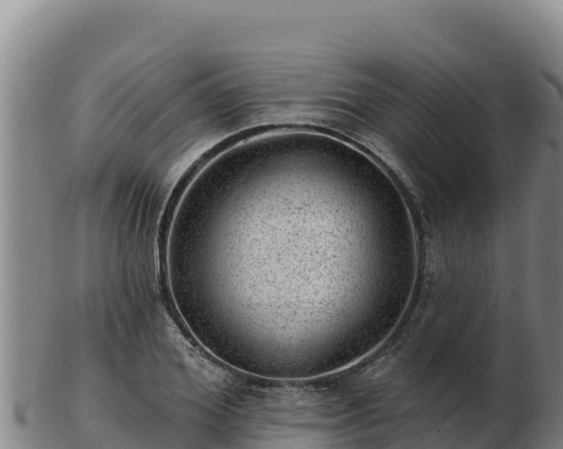 X0000103240980200809041043