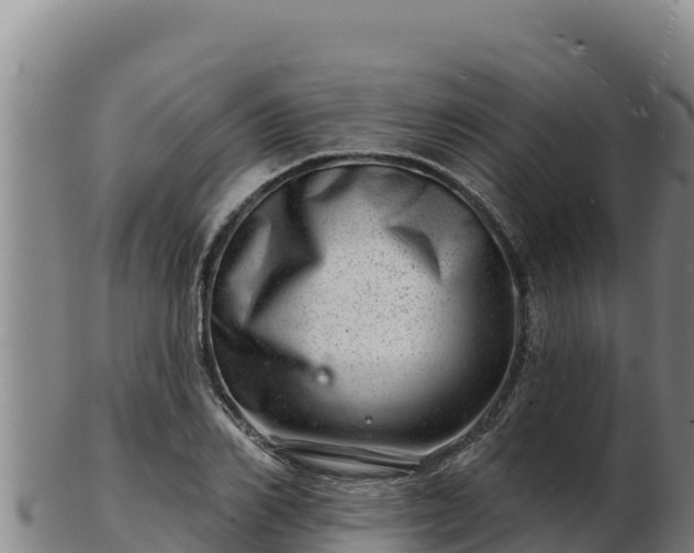 X0000103240982200809041043