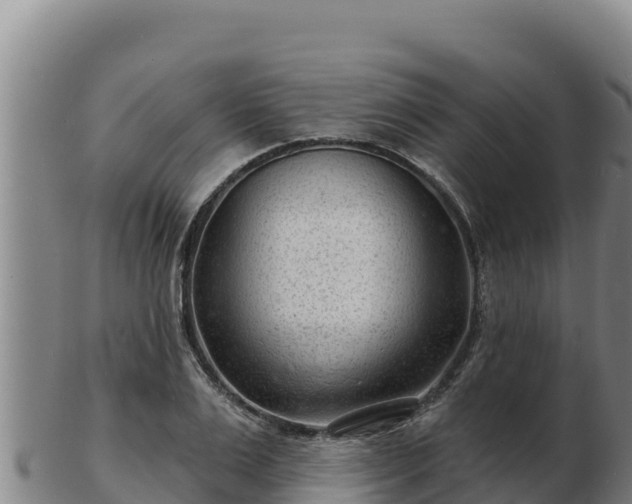 X0000103240983200809041043