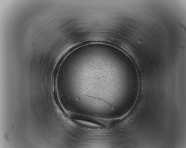 X0000103240984200809041043