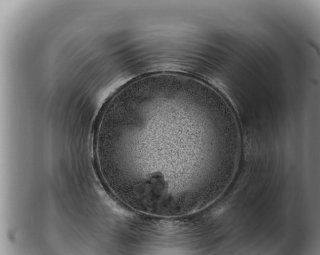 X0000103240987200809041043