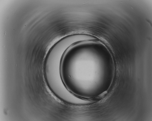 X0000103240989200809041043