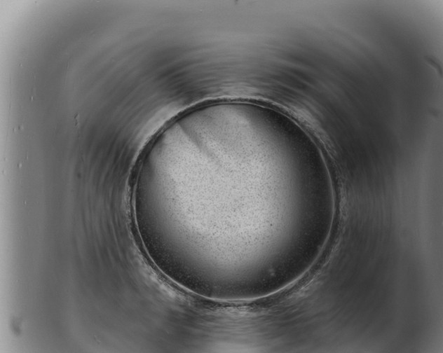 X0000103240990200809041043