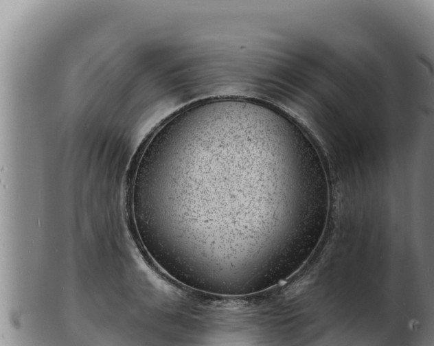 X0000103240991200809041043