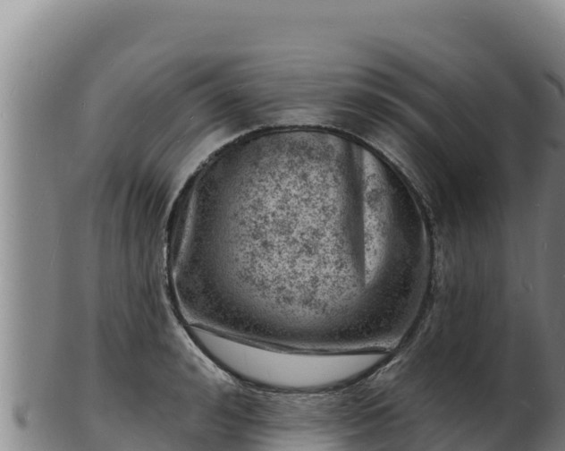 X0000103240992200809041043