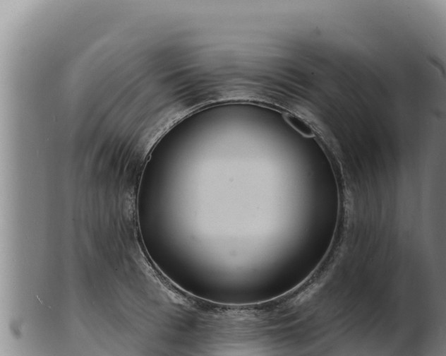 X0000103240993200809041043