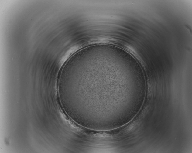 X0000103240994200809041043