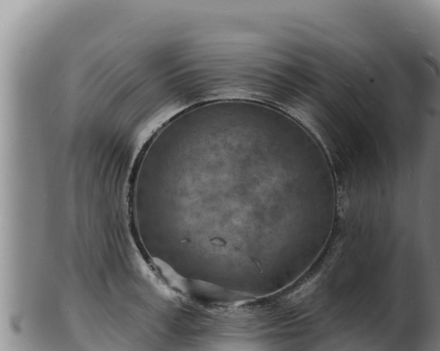 X0000103240995200809041043