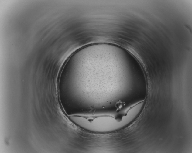 X0000103240996200809041043