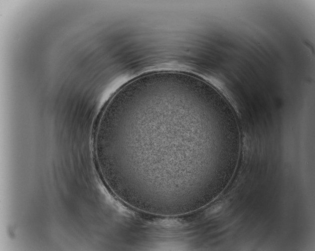 X0000103240998200809041043