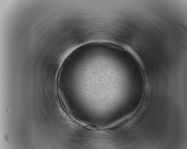 X0000103241004200809041043