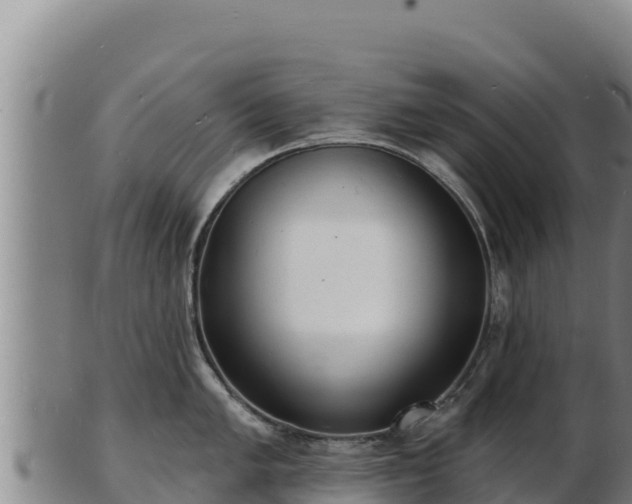 X0000103241005200809041042