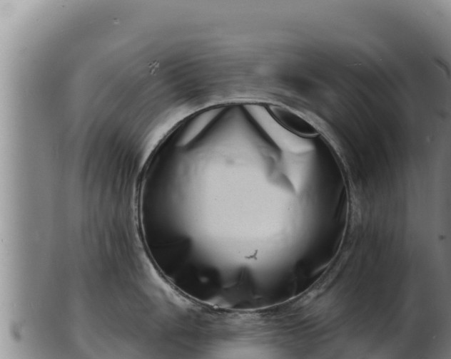 X0000103241006200809041042