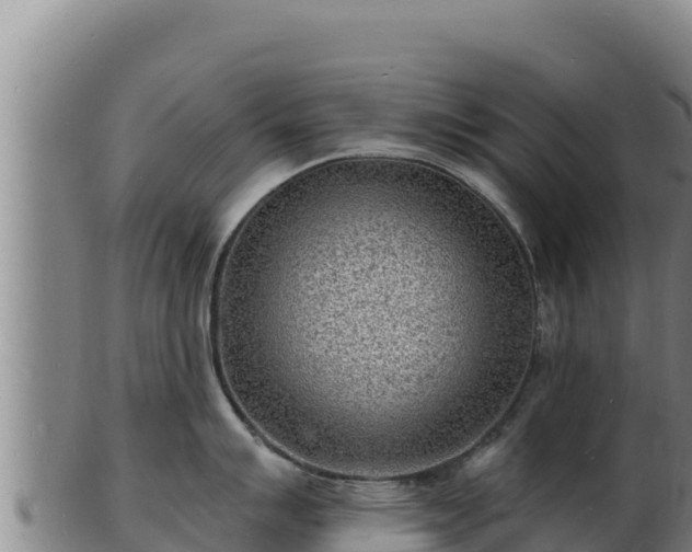 X0000103241007200809041042