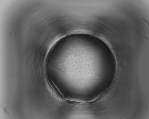 X0000103241008200809041042