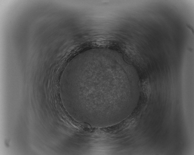 X0000103241009200809041042