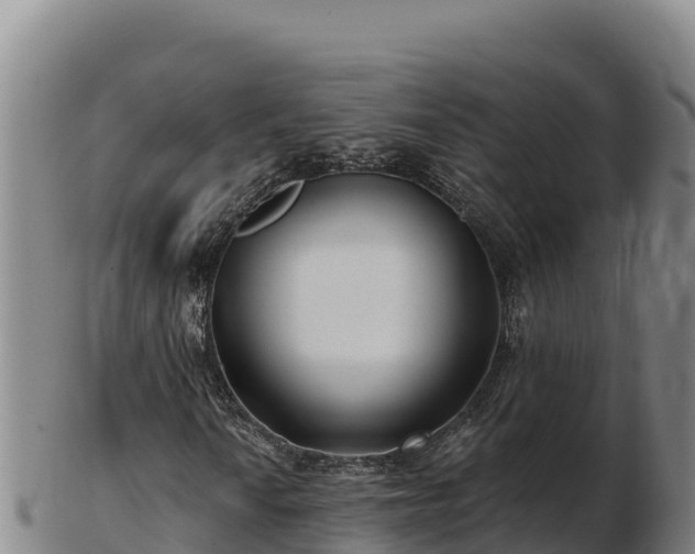 X0000103241010200809041042