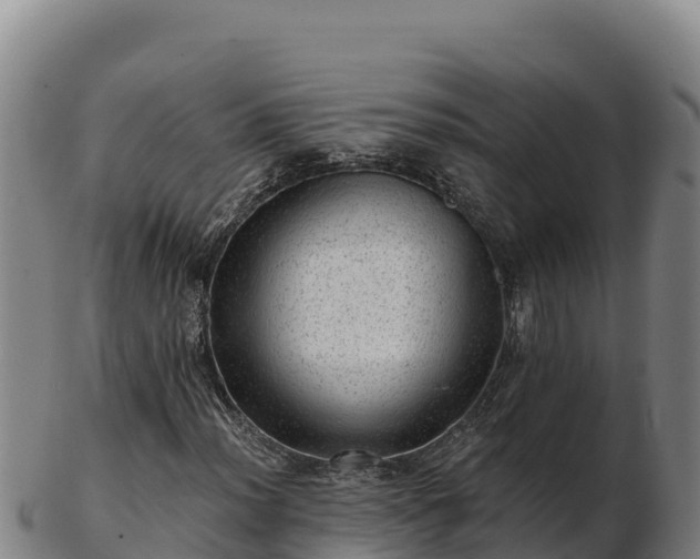 X0000103241012200809041042