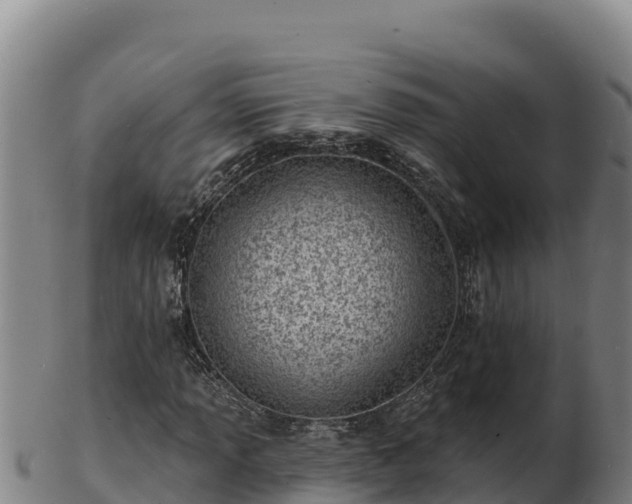 X0000103241013200809041042