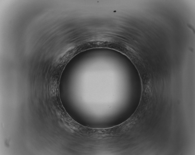 X0000103241014200809041042